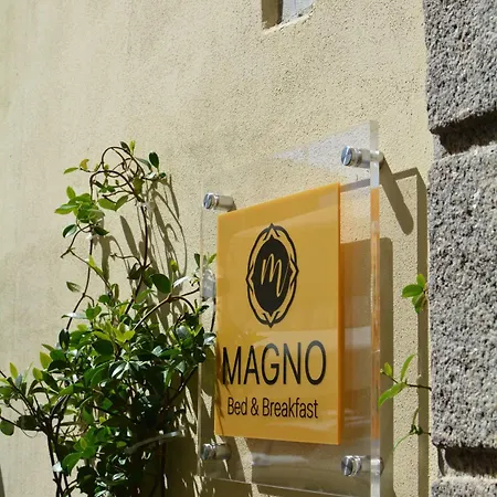 Magno *